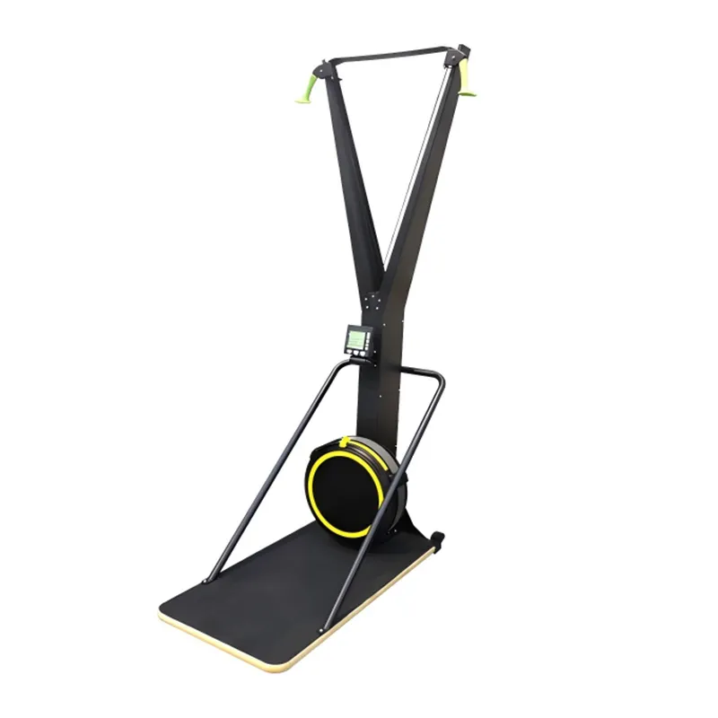 P300-2 Dual Resistance Ski Trainer - Commercial Gym Equipment Nepal