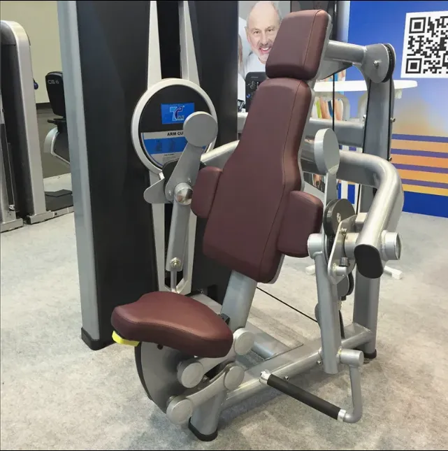 TZ 8013 real pic - Commercial Gym Equipment Nepal