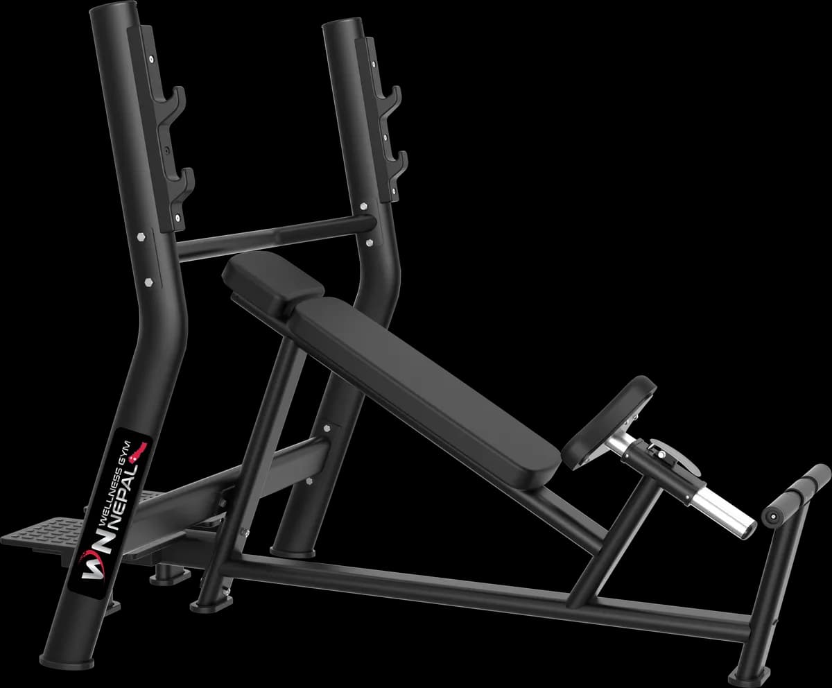 WNZH025 - Commercial Gym Equipment Nepal